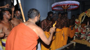 Jeeyar Sathabdi Celebrations