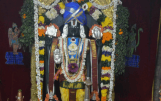 Mandasa Sri Vasudeva Perumal Bramhothsavam Sri Chinna Jeeyar Swamiji