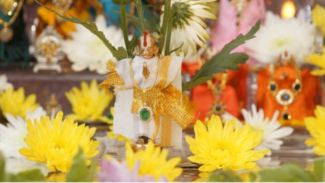 Hanuman Jayanthi at Novi Michigan