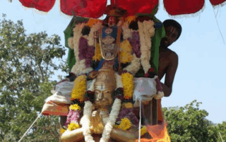 Mandasa Sri Vasudeva Perumal 5th Bramhothsavams