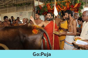 Gopuja-HH-Chinna-Jeeyar-Swamiji