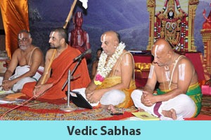 Vedic-Sabhas