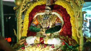 Pedda Jeeyar Swamiji Tirunakshitram