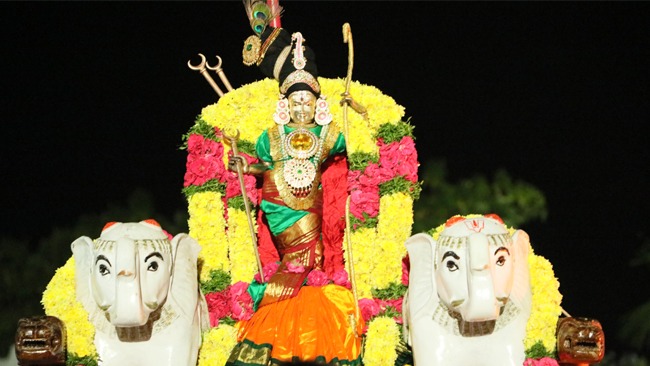 Sarannavaratri – A 10 day Celebration – What does it signify
