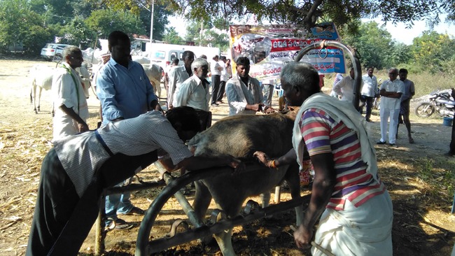 Go-Seva-the-right-way