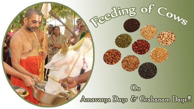 Amavasya Days & Grahanam Days !!!