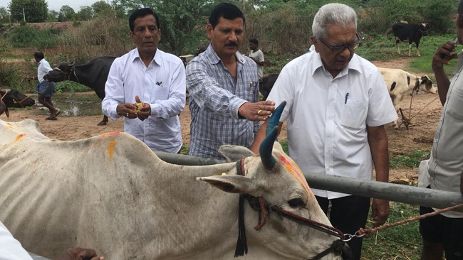 Veterinary Camp at Chippakurthi,Karimnagar