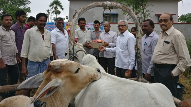 Vikasa Tarangini Reach to Siricilla For Animal Protection
