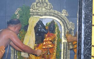 Sri Bhu Varaha Swami Janmanakshatram celebrations at Vijaya Keeladri
