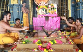 Sri Bhu Varaha Swami Homam at Vijaya Keeladri Sitanagaram