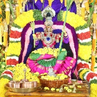 Saran Navratri Celebrations Dhanya Lakshmi Alankaram