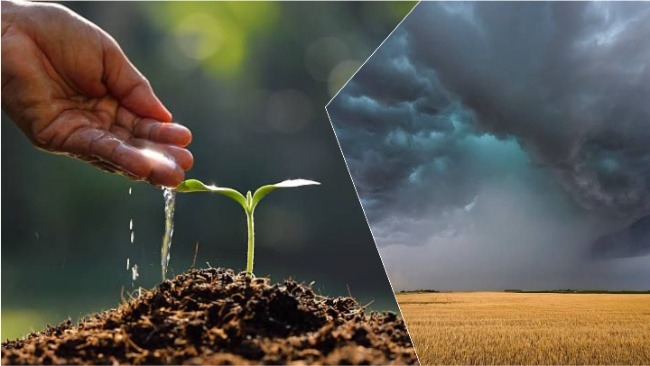 Coluds water to plant