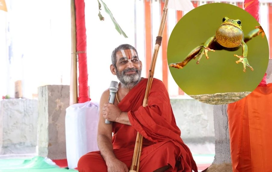 9th Bramhotsavams Vijaya Keeladri Temple HH Chinna Jeeyar Swamiji