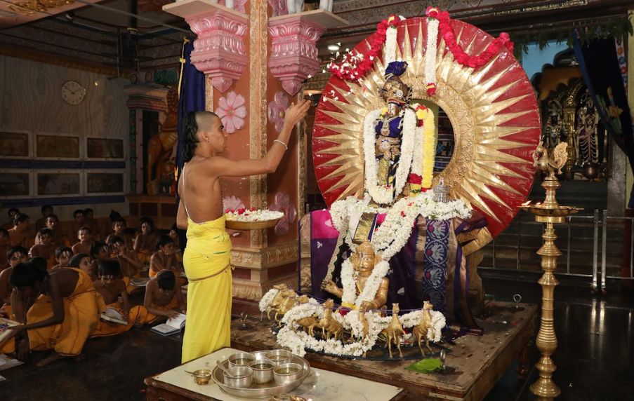 Ratha Sapthami Celebrations at Divya Saketham