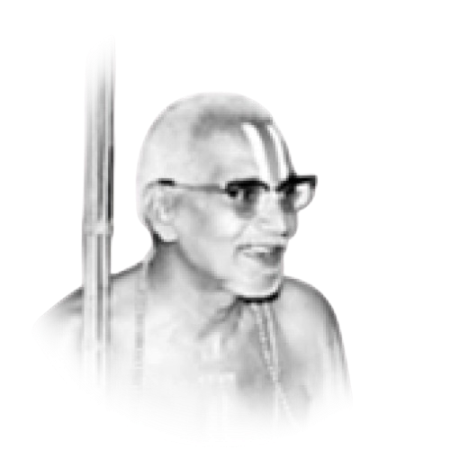 HH Pedda Jeeyar Swamiji