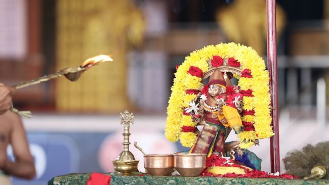 11 Days Sudarshana Homam Day 4